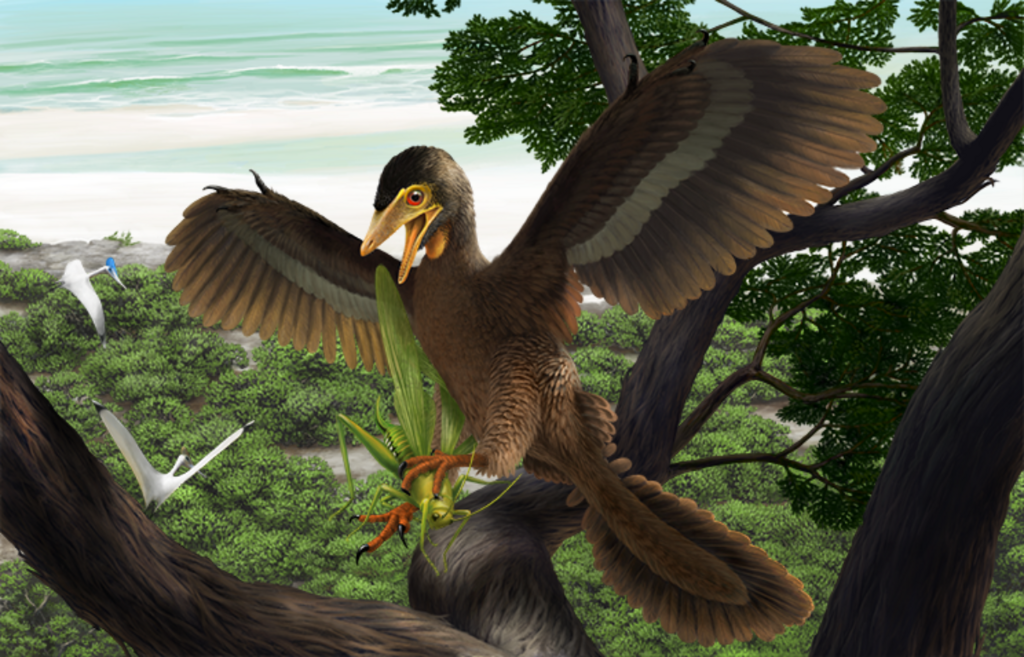 Rekonstruktion von Archaeopteryx beim Insektenfang auf einem Baum