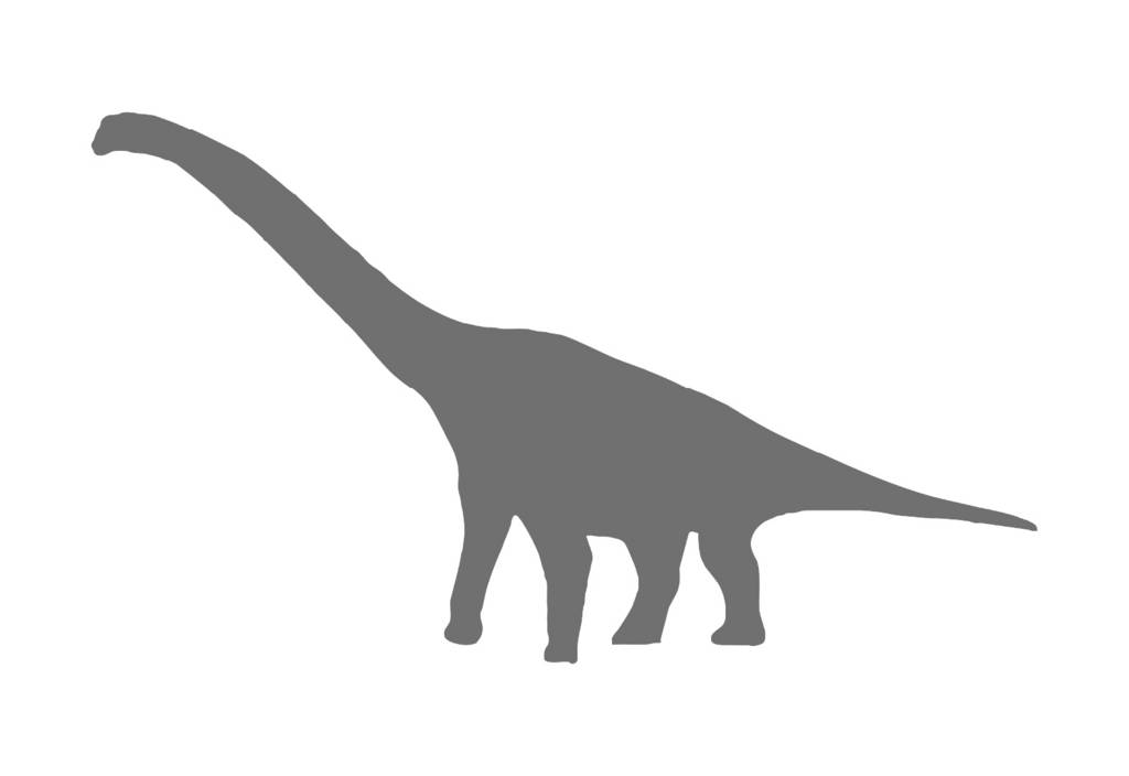 Schattenriss von Diplodocus